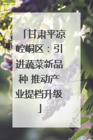 甘肃平凉崆峒区：引进蔬菜新品种 推动产业提档升级